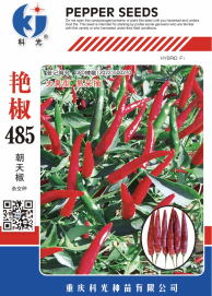 科光種苗“艷椒485”辣椒、“秋實1號”甘藍(lán)分別入選2025年農(nóng)業(yè)主導(dǎo)品種、農(nóng)作物優(yōu)良品種推廣目錄